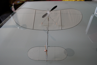 Illustration for article titled Carbon Butterfly Gallery: RC Plane Lighter Than a Sheet of Paper